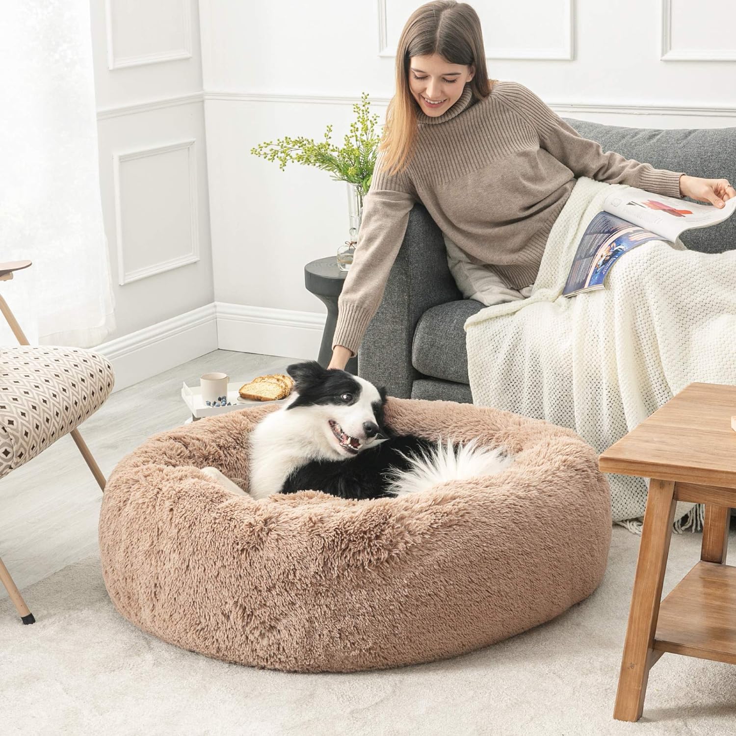 Calming dog bed canada best sale