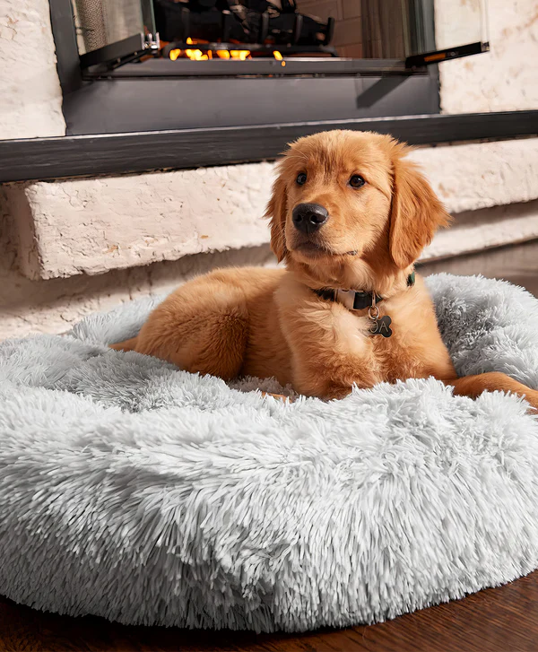 Dog bed shop hot sale