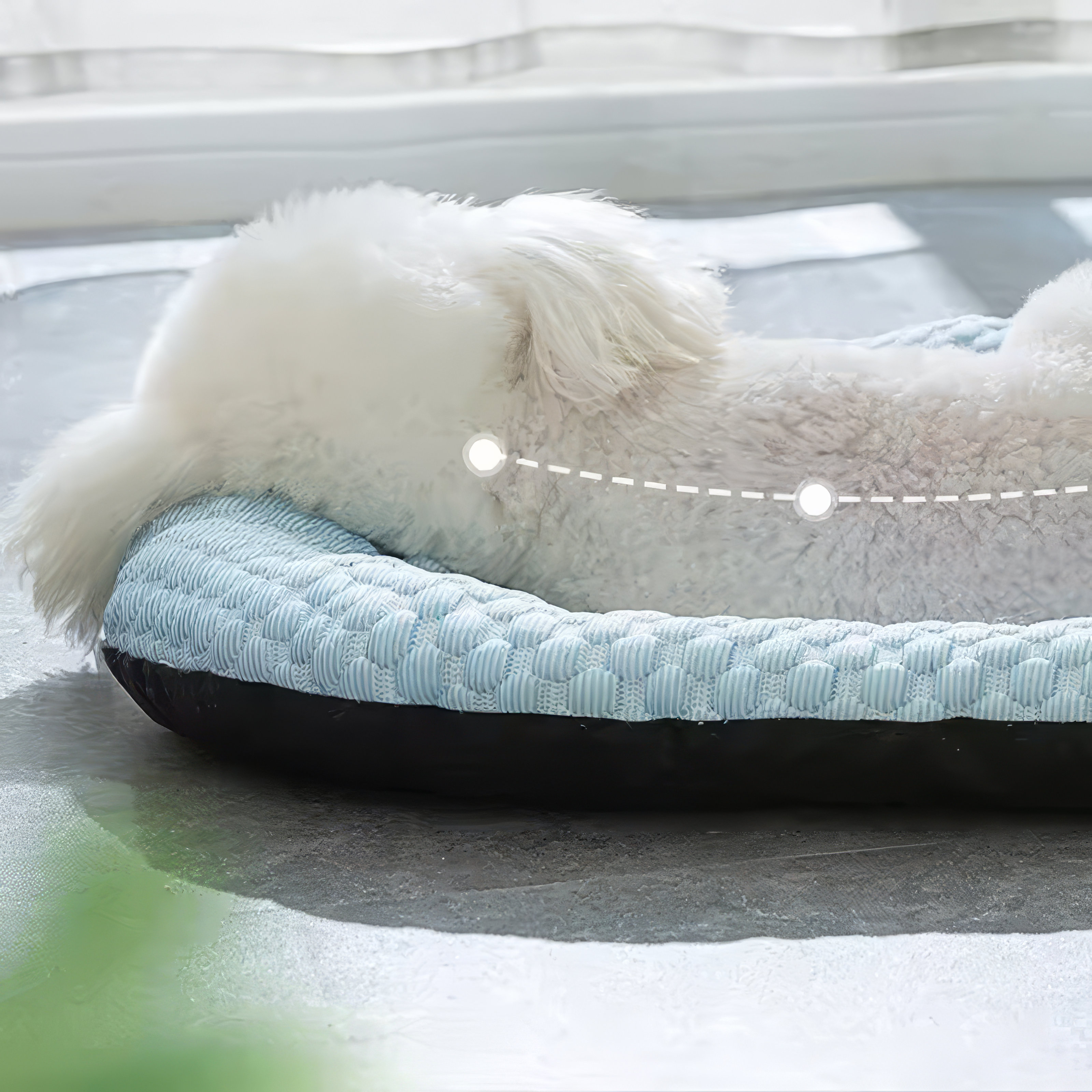 Dog bed