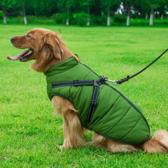 Waterproof Dog Fleece Winter Coat