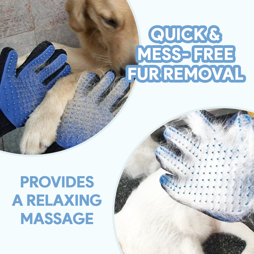 Dog petting gloves online